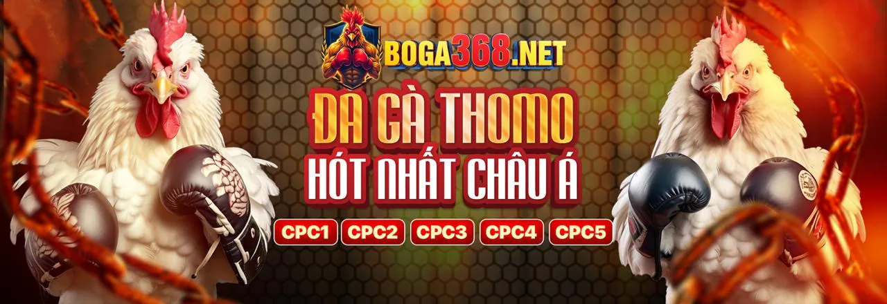 Mẹo và chiến lược thắng cược trên g666 web